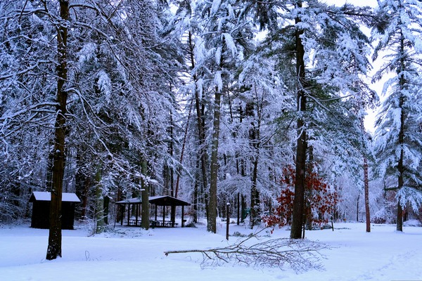 Winter Wonderland 2 Digital Download