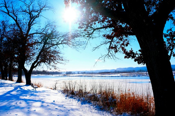 Winterscape 2 Téléchargement Numérique