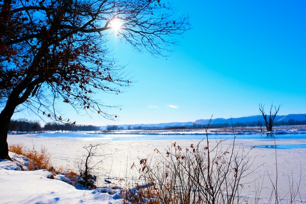 Winterscape 2B Téléchargement Numérique