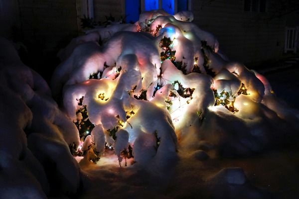 Frozen Christmas 2B Téléchargement Numérique