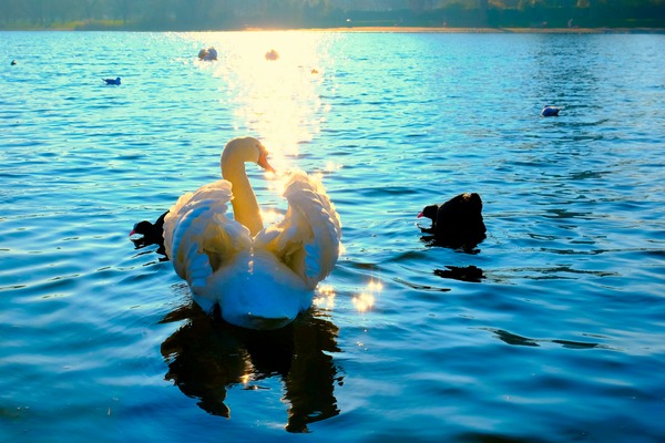 Luminous Voyage Print