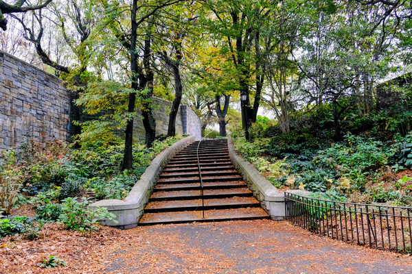 Steps to Upper West Side  Digital Download
