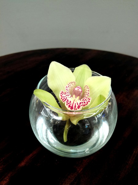 Glass Bloom Téléchargement Numérique