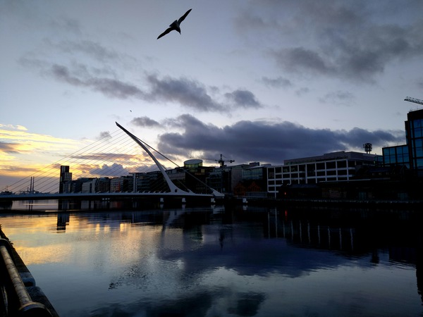 Soaring into the Sunrise Print