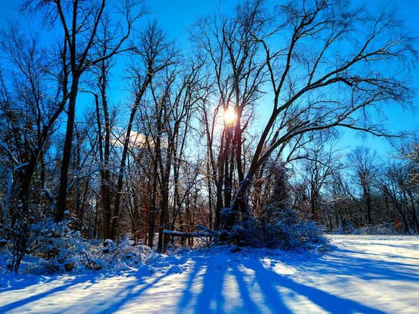 Winter Wonderland 2 Digital Download