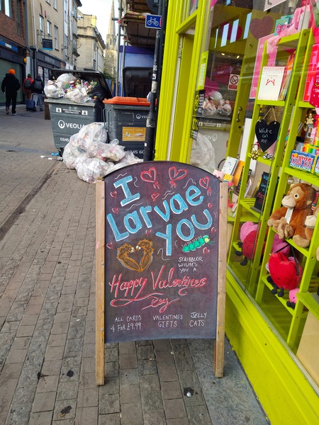 I Larvae You No Backbone Love Print