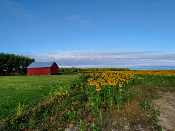 Barn & Blossoms Print