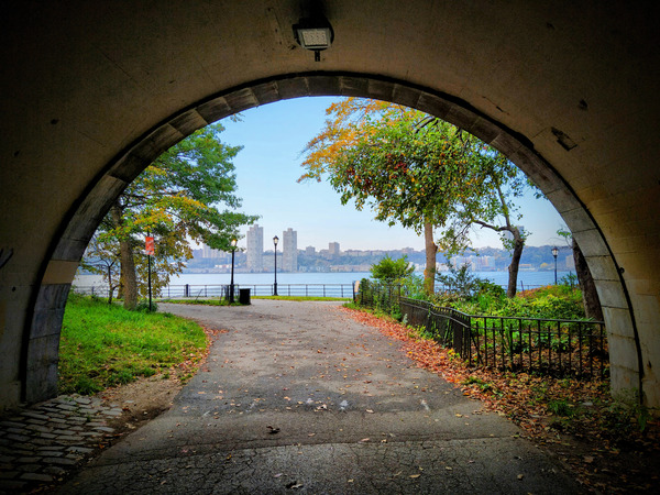  Into Autumn Light Téléchargement Numérique