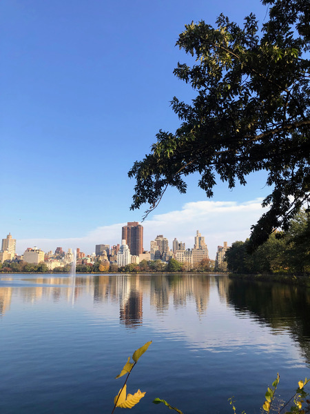 Nature’s Window to the City Print