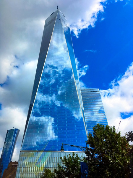 Reflection of Freedom Téléchargement Numérique