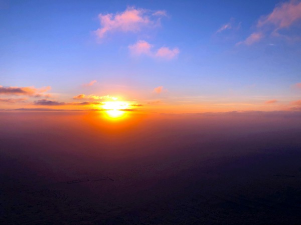 Into the Horizon Téléchargement Numérique