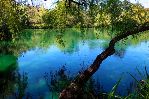 Pond Do 2 Digital Download