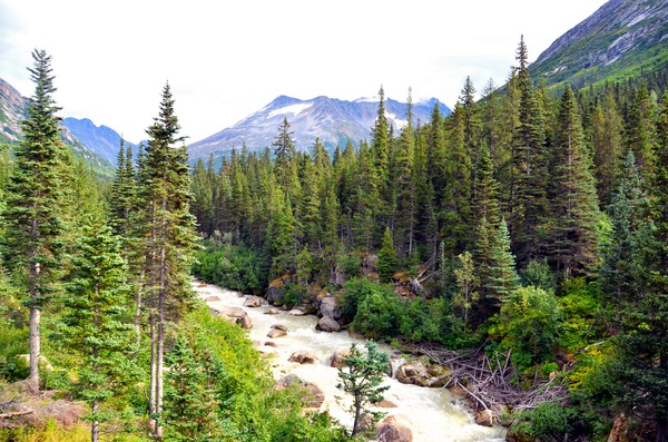 Majestic Mountains of Alaska 3C Téléchargement Numérique