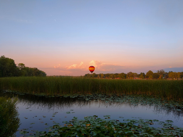 Solace in the Sky Téléchargement Numérique