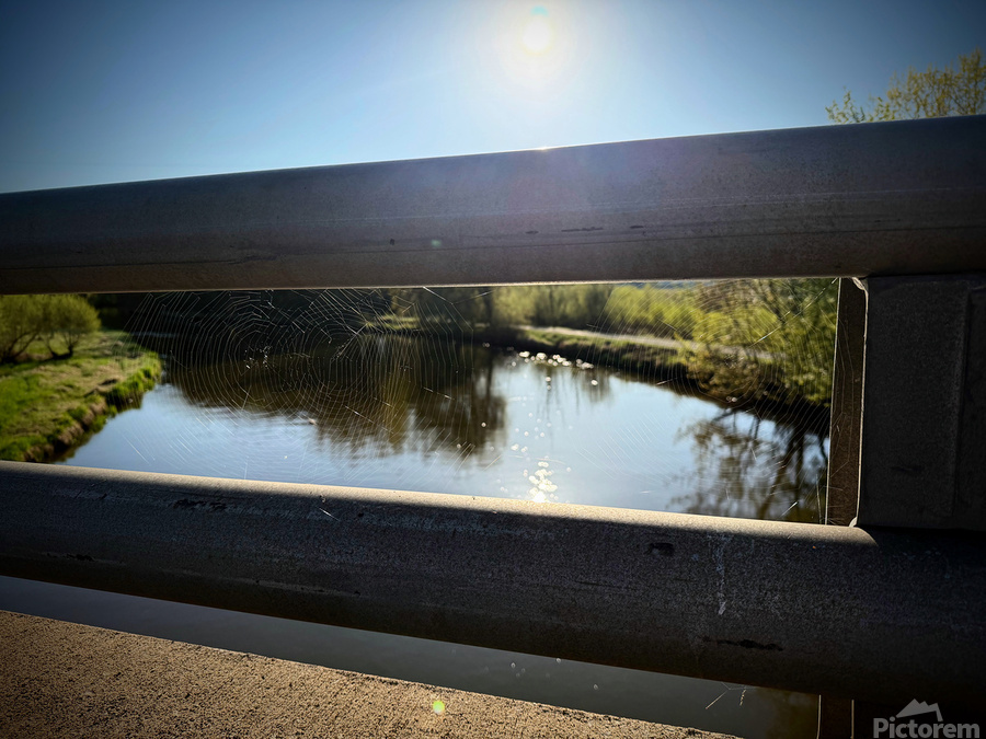 Spider Web on Bridge at Sunrise – Nature Framed in Stillness 1  Print