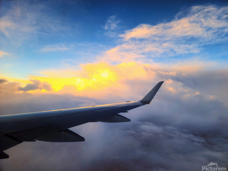 Wings of Dawn  Print