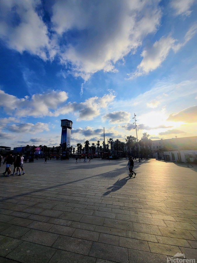 Where Light Finds the Silence  Print