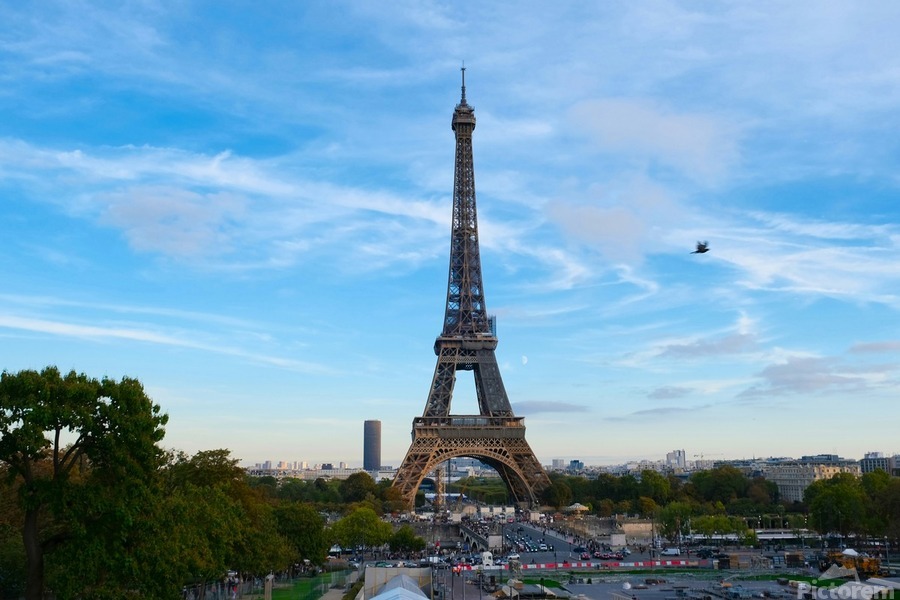 Eiffel Tower 2  Print