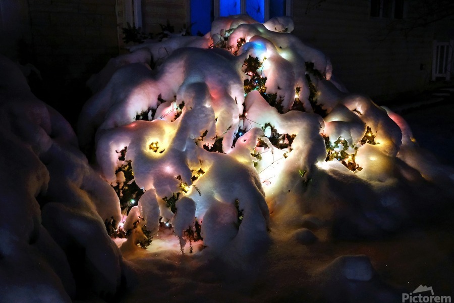 Frozen Christmas 2B  Print