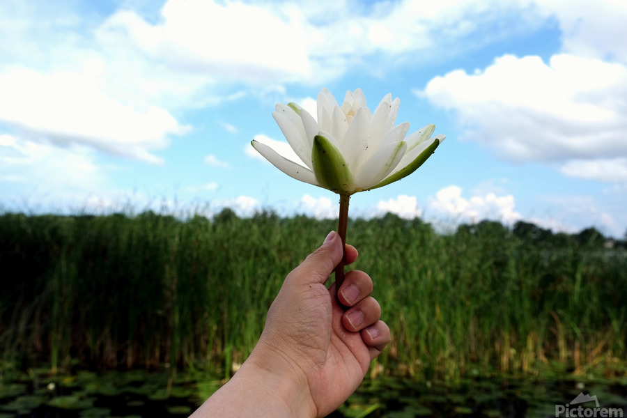 Gift to the Sky  Print