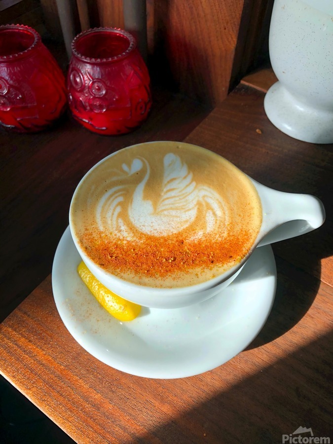 Shadow Swan Take Flight  Imprimer