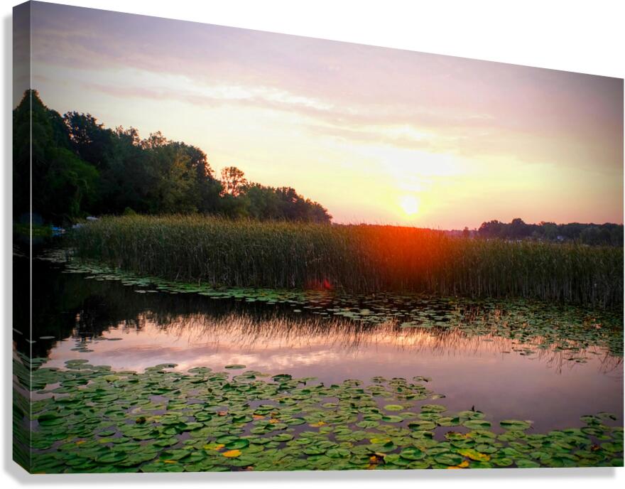 Over Lilyglass Waters: A Dawn Reawakens Canvas Print