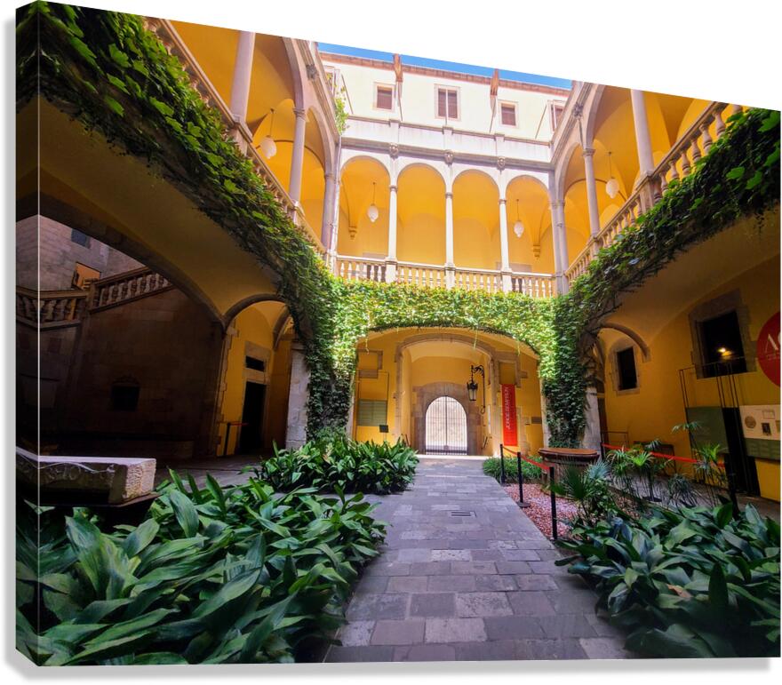  Solitude in Sunlight Canvas Print