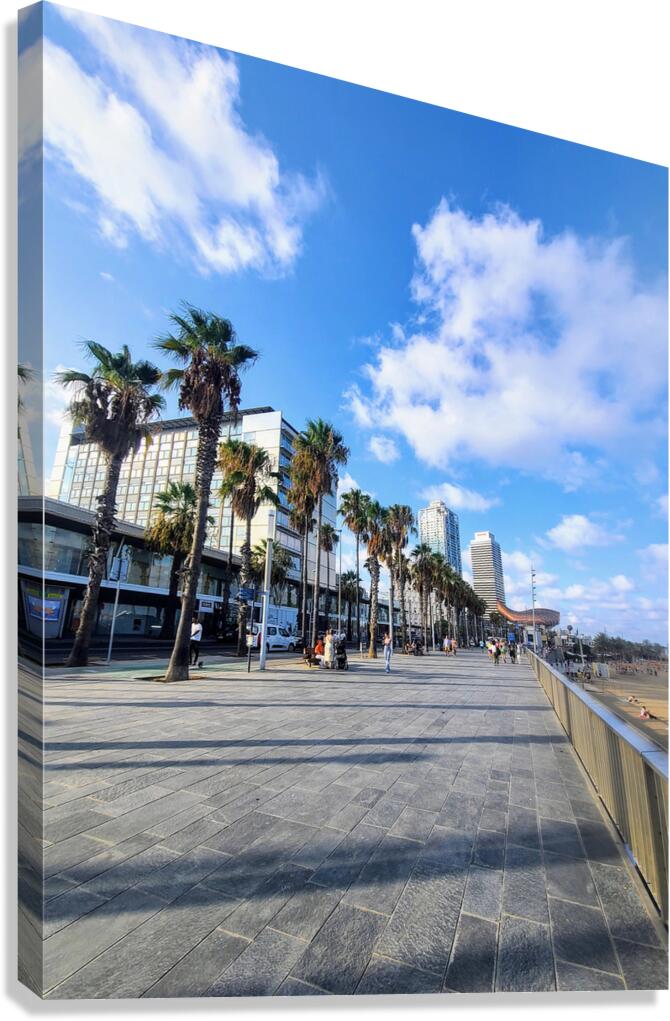 Sun-Kissed Horizons: Barcelona Beach Canvas Print