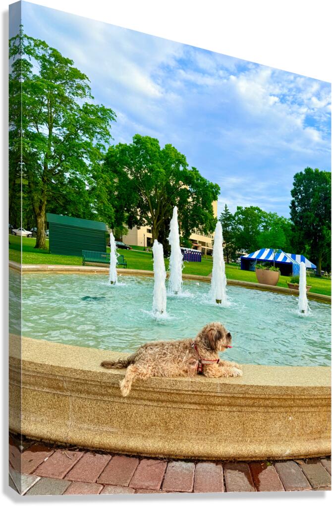 Lazy Days by the Fountain Canvas Print