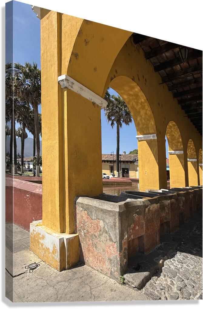 IMG 0304 Canvas Print