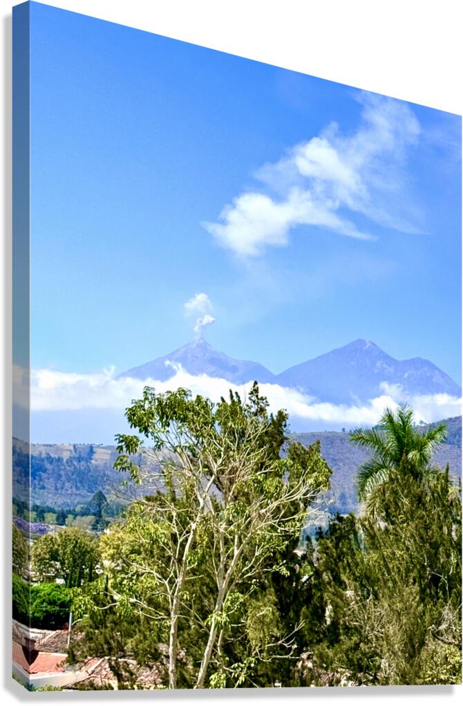 IMG 0158 Canvas Print