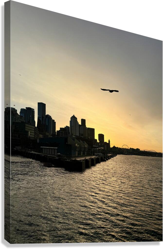 IMG 8007 Canvas Print