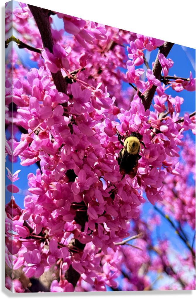 Nothing But Spring Canvas Print