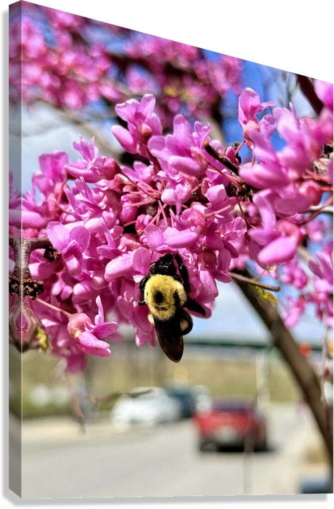 Wild at Heart Urban by Address Canvas Print