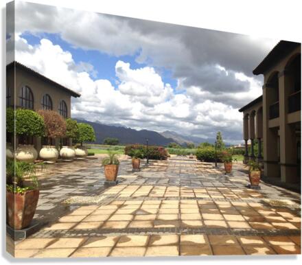 Out of Africa 1 Canvas Print