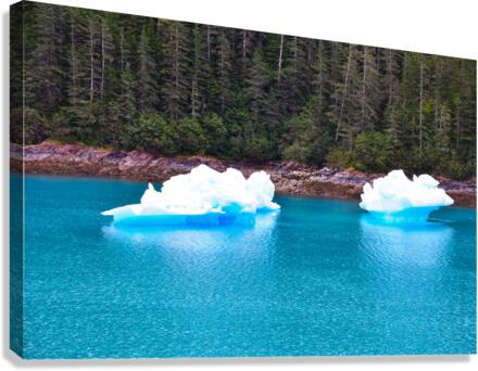 Drift Apart Canvas Print