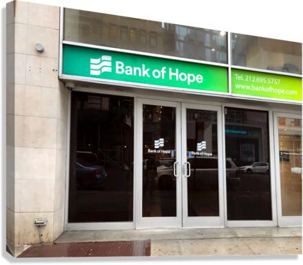 Lending Hope 2 Canvas Print