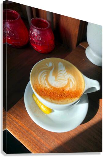 Shadow Swan Take Flight Canvas Print