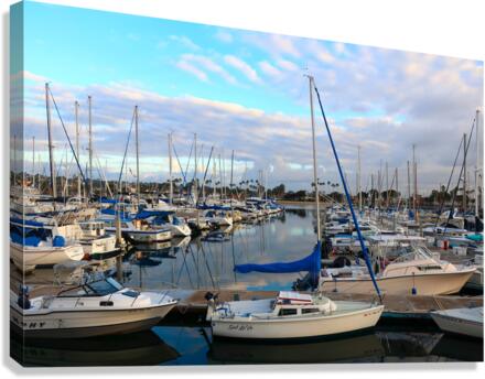Sea of Boats Canvas Print