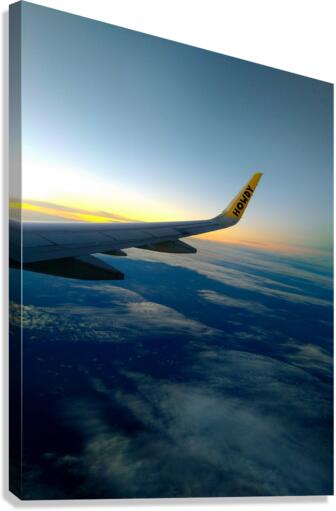 Got Spirit Canvas Print