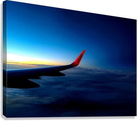 Got Spirit Canvas Print