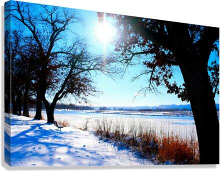 Winterscape 2 Canvas Print