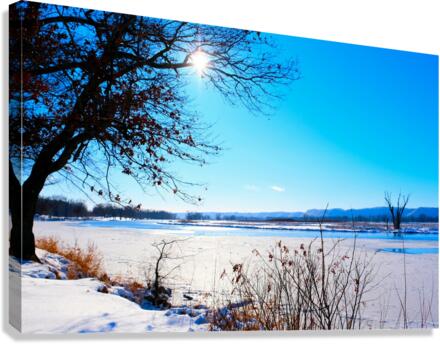 Winterscape 2B Canvas Print