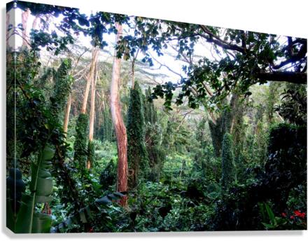 Welcome to Jurassic Park  Canvas Print