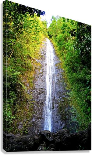 Falling for Colors B Canvas Print