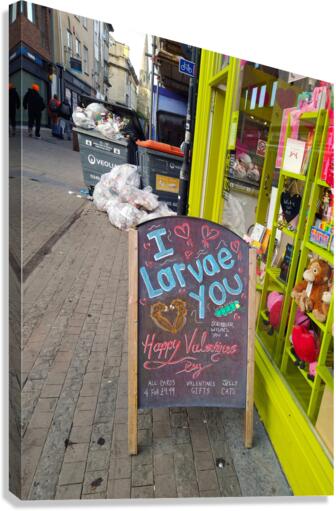 I Larvae You No Backbone Love Canvas Print