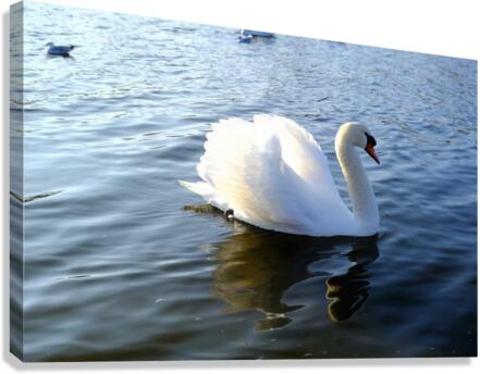 Wings of Love 2B Canvas Print