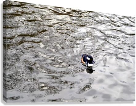 Only The Lonely Loon 1B Canvas Print