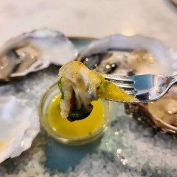 Elegy in Shell Minor