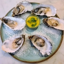 Silent Brine: The Oyster Sonata